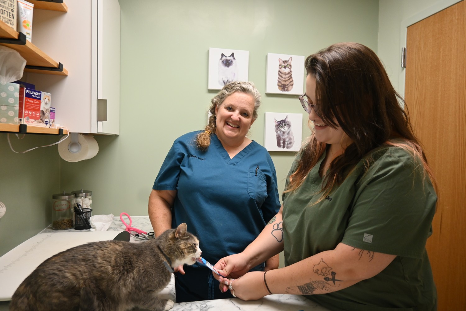 Wellsville Animal Hospital Wellsville, KS About Us